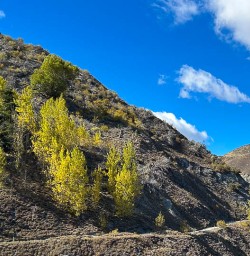 Arrowtown