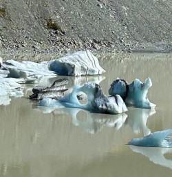 Hooker Lake 