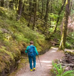 1. Native Forest Kepler Track