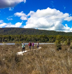 1. Kepler boardwalk group walking