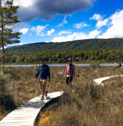 1. Boardwalk in the Kepler wetland
