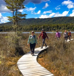 1. Kepler Track Boardwalk