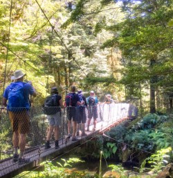 1. Group crossing bridge Kepler Track