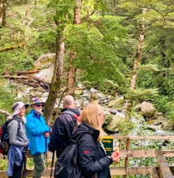 1. Group walking Routeburn Track