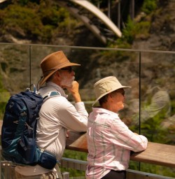 1. Guest couple watching bunjy