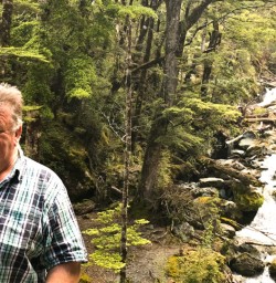 1. Guest in native forest Routeburn Track