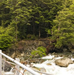 1. Guest on Routeburn Track