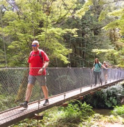 1. Guests crossing swing bridge on Kepler Track