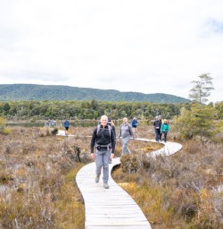 1. Guests walking Kepler wetland boardwalk