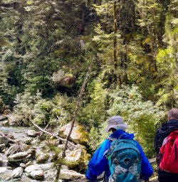 1. Guests walking Routeburn Track return