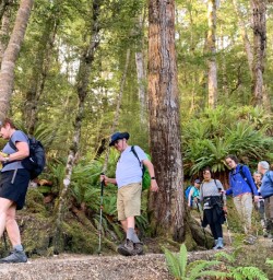 1. Guests walking through beech forest Kepler Track