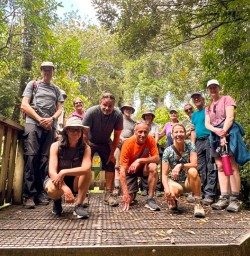 1. Kauri tree walk