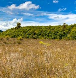 1. Kepler Track wetland views