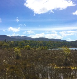 1. Kepler Wetland
