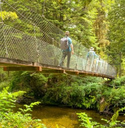 1. Kepler track swingbridge through native bush