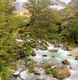 1. Routeburn River