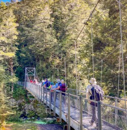 1. Routeburn track group crossing swing bridge river and forest views