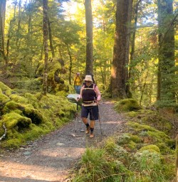 1. Solo guest beech forest Routeburn