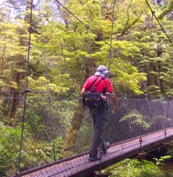 1. Solo guest crossing bridge Kepler Track