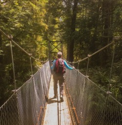 1. Through the forest on the Kepler