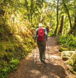 1.5 Guest on Kepler Track