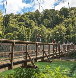 1.5 Kepler Track guests crossing bridge