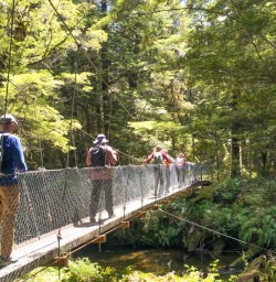 1. Kepler bridge crossing