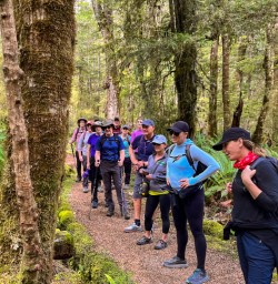 1. Group in the beech forest Pure South