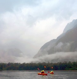 Kayaking at Milford Sound