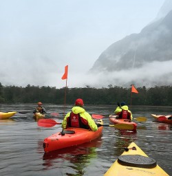 Kayaking at Milford Sound