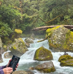 Adventure Milford Sound hike the Routeburn Track 25 December 2024 3