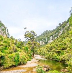 Adventure walking tours in Paparoa National Park 