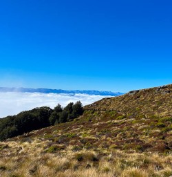Alpine area of Mount Luxmore 