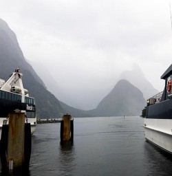 Cruise Milford Sound hike the Routeburn Track 18 November 2024 1