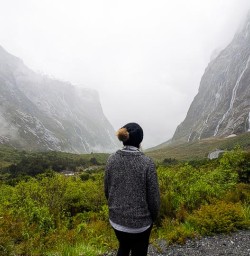 Cruise Milford Sound hike the Routeburn Track 18 November 2024 2
