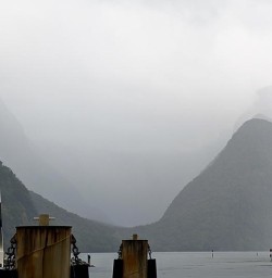 Cruise Milford Sound hike the Routeburn Track 18 November 2024 3