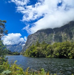 Cruise Milford Sound