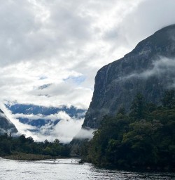 Day walk on the Milford Track and cruise Milford Sound