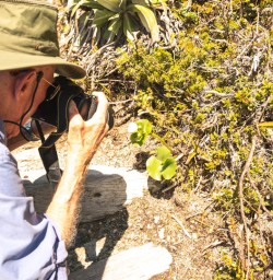 2 Dennis Widman close up pic of plants Hooker Valley2