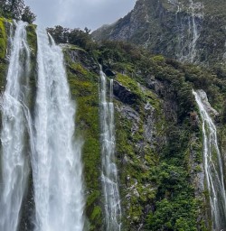 Explore Milford Sound 09 December 2024 6