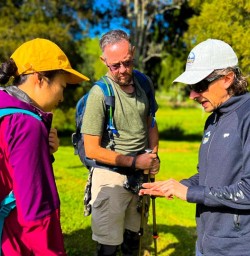 Explore Pureora Forest Walks2