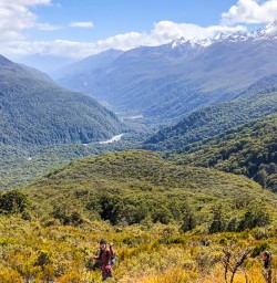 Explore the Routeburn Track