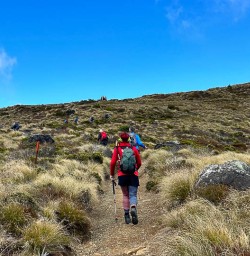 Exploring the Kepler Track