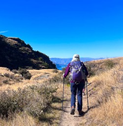 Exploring the Rocky Mountain Track in New Zealand