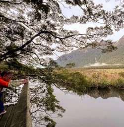 Hike the Routeburn Track to Key Summit