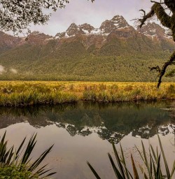 Hike the Routeburn Track