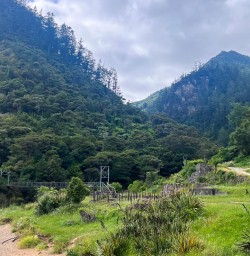 Karangahake Gorge 3rd December 2024 4