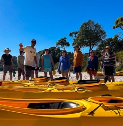 Kayak Cathedral Cove 3rd December 2024 3