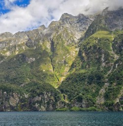 2 Milford Sound Cruise 17FEB25