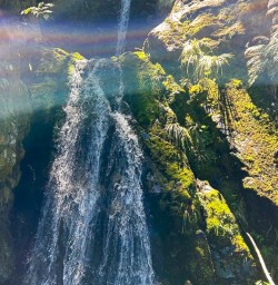Milford Sound Routeburn Track 16 December 2024 13